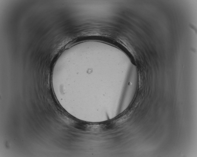 X0000098120301200804251458