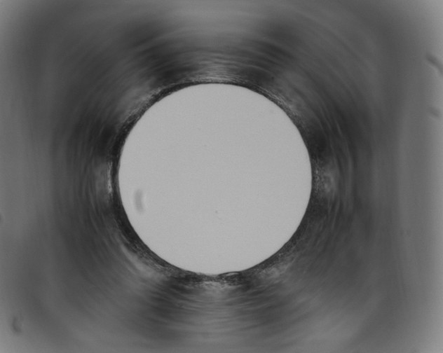 X0000098120302200804251458