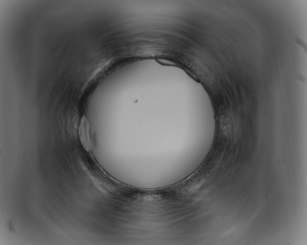 X0000098120304200804251458