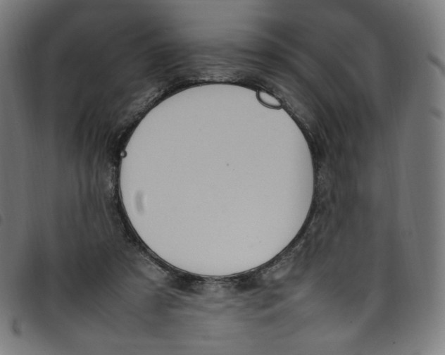 X0000098120305200804251458