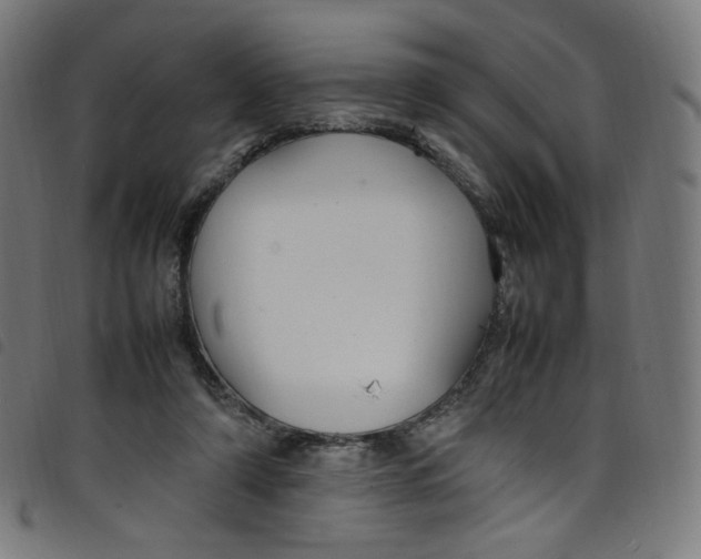 X0000098120306200804251458