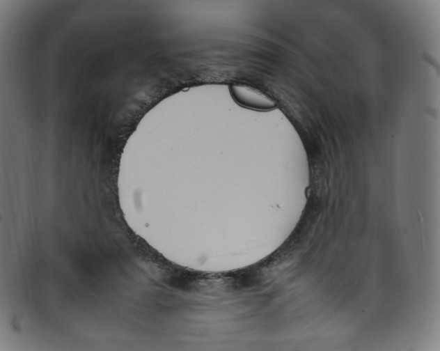 X0000098120307200804251458