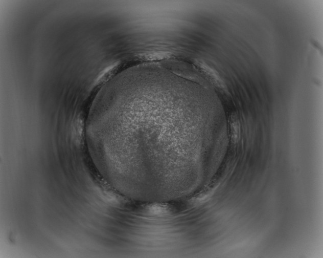 X0000098120308200804251458