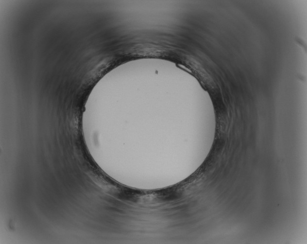 X0000098120309200804251457
