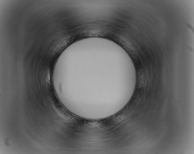 X0000098120310200804251457