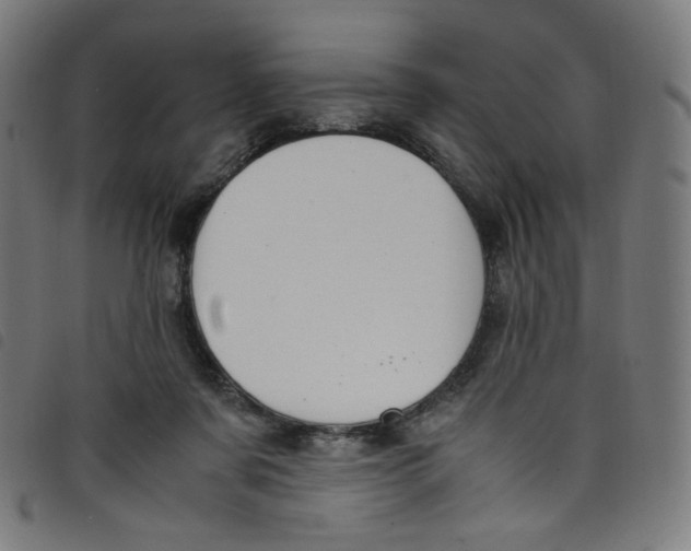 X0000098120311200804251457