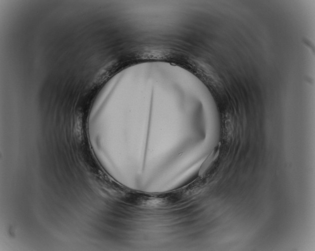 X0000098120312200804251457