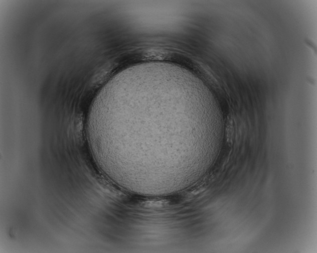 X0000098120314200804251457