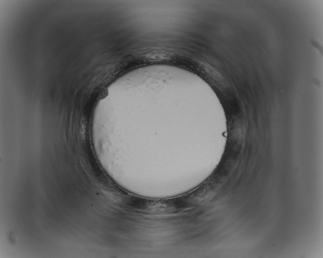 X0000098120315200804251457