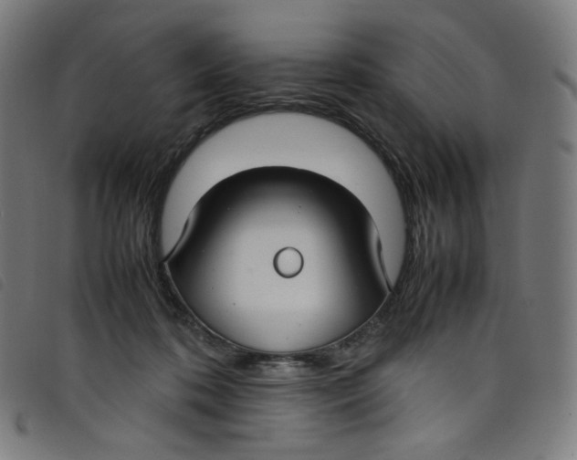 X0000098120316200804251457