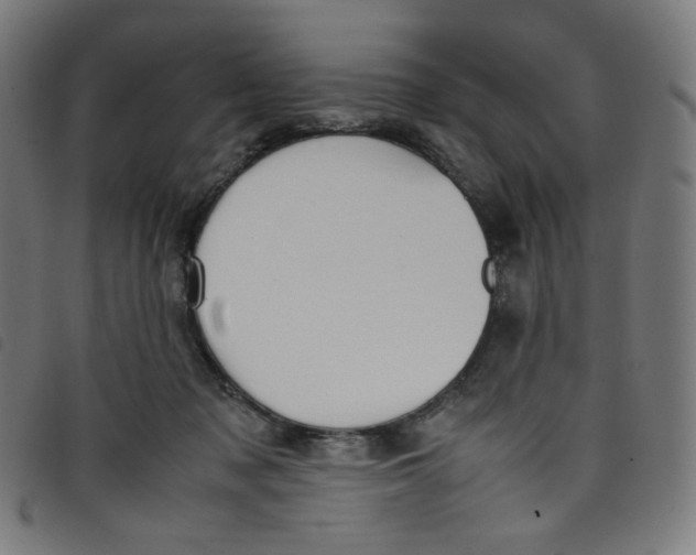 X0000098120317200804251457