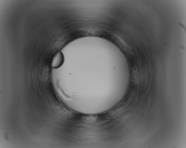 X0000098120318200804251457