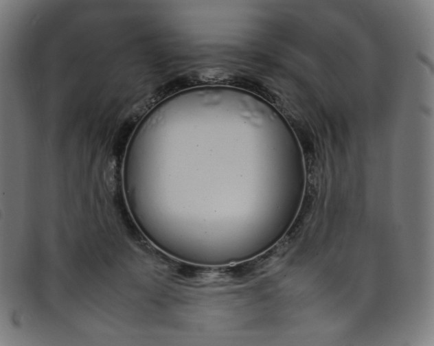 X0000098120319200804251457