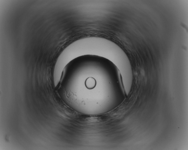 X0000098120320200804251457