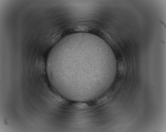 X0000098120322200804251457