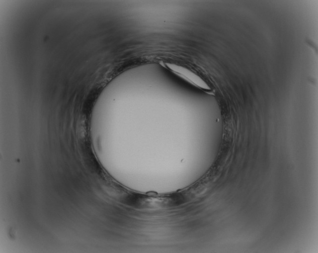 X0000098120323200804251457