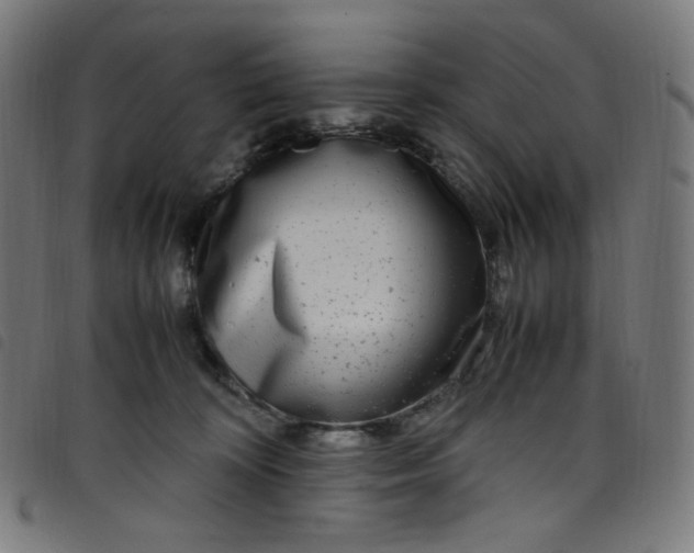 X0000098120324200804251457