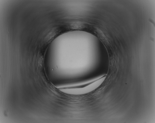 X0000098120325200804251457
