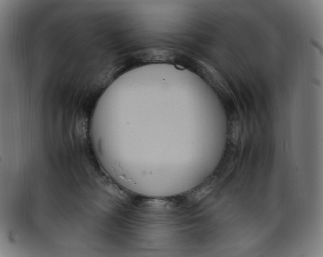X0000098120326200804251457