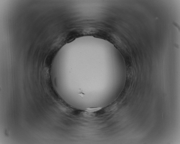 X0000098120327200804251457