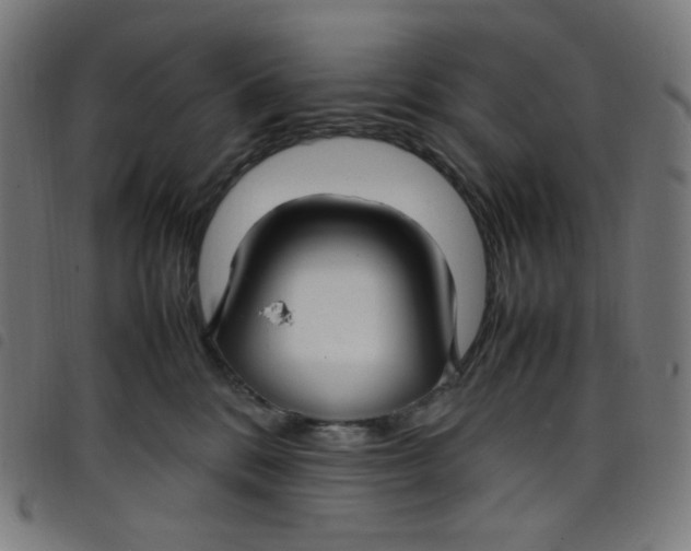 X0000098120328200804251457