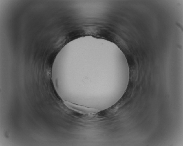 X0000098120329200804251457