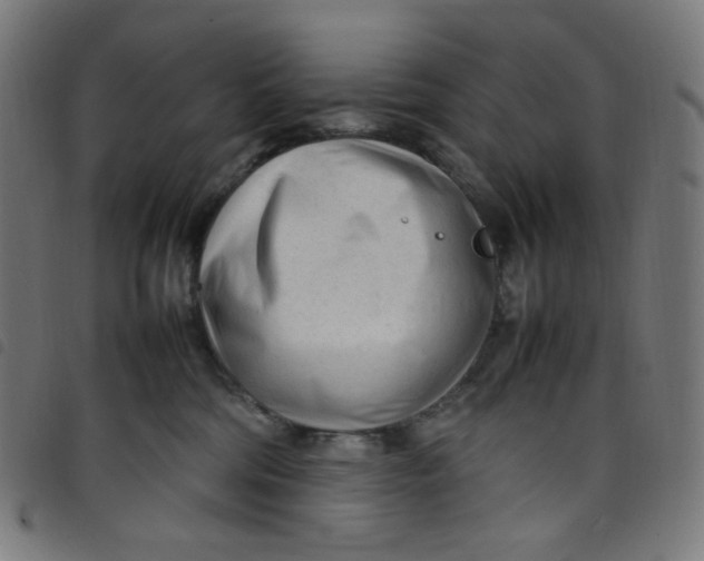 X0000098120330200804251457