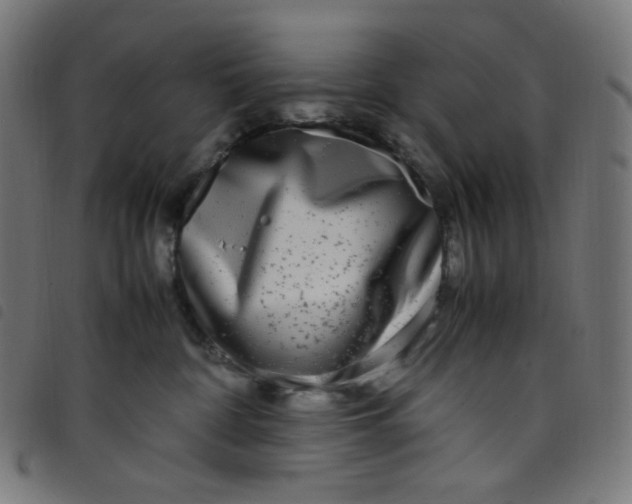 X0000098120332200804251457
