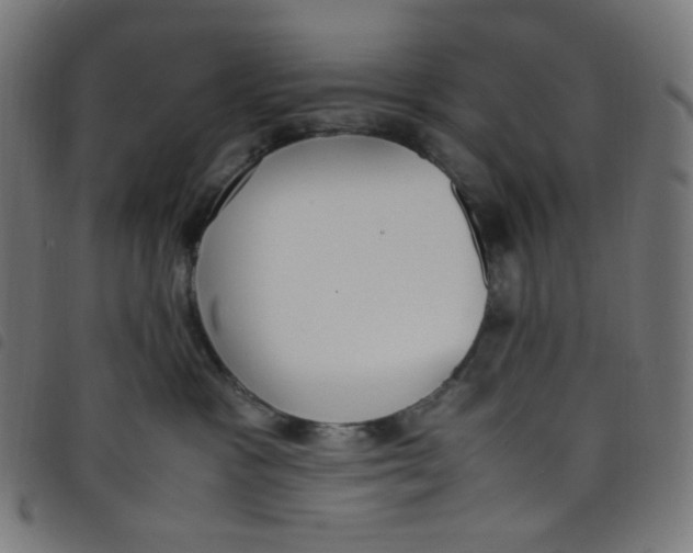 X0000098120333200804251457