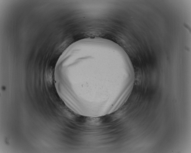 X0000098120334200804251457