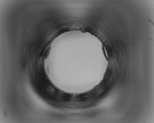 X0000098120335200804251457