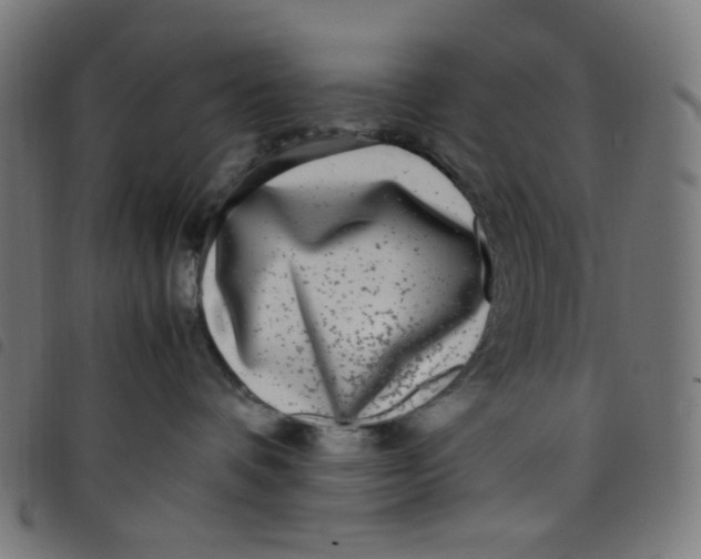 X0000098120336200804251457