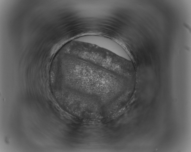 X0000098120337200804251456