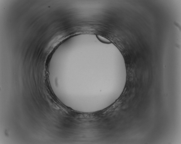 X0000098120338200804251456