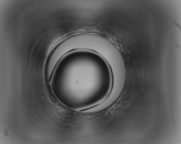 X0000098120340200804251456