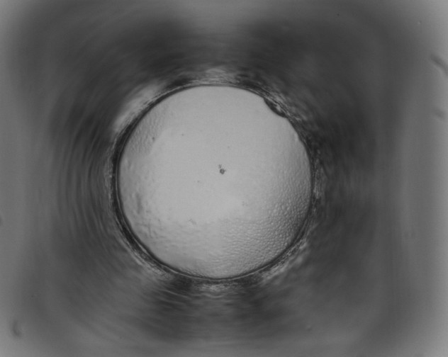 X0000098120341200804251456