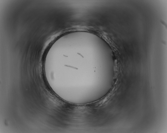 X0000098120342200804251456