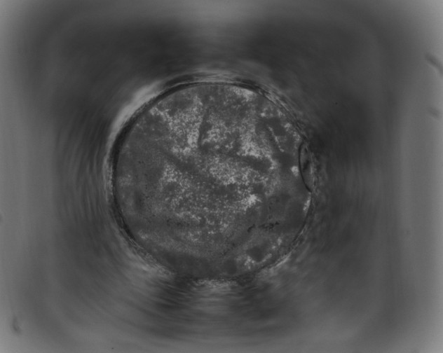 X0000098120343200804251457
