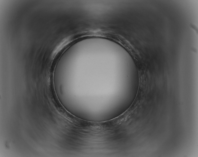 X0000098120344200804251457