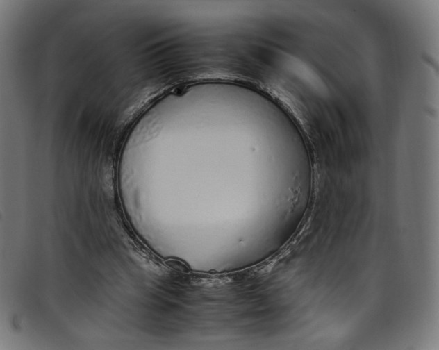X0000098120345200804251457