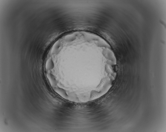 X0000098120346200804251457