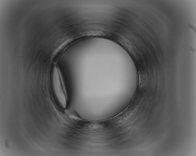 X0000098120348200804251457