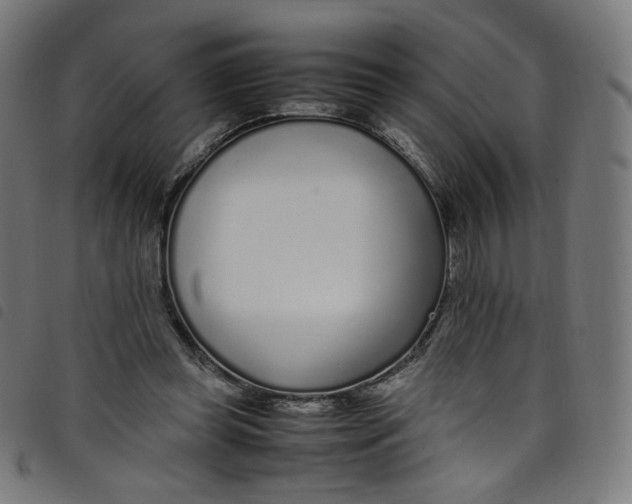 X0000098120349200804251457