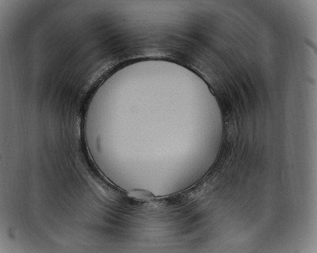 X0000098120350200804251457