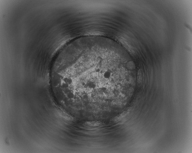 X0000098120351200804251457