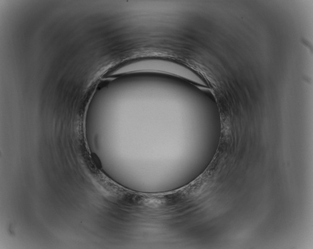 X0000098120352200804251457
