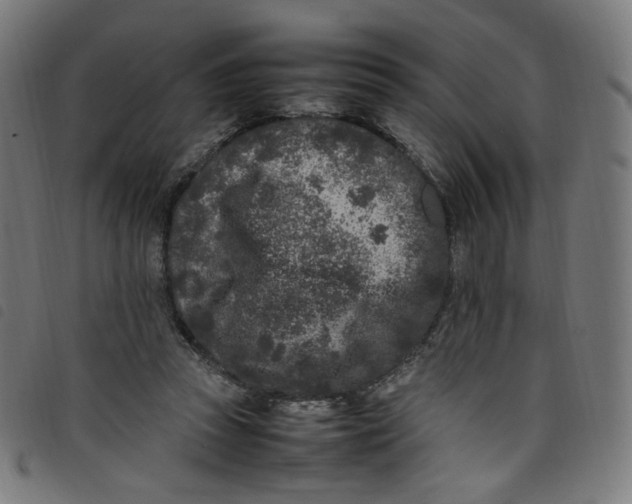 X0000098120353200804251457