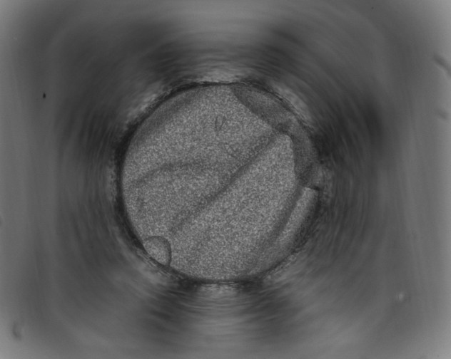X0000098120354200804251457