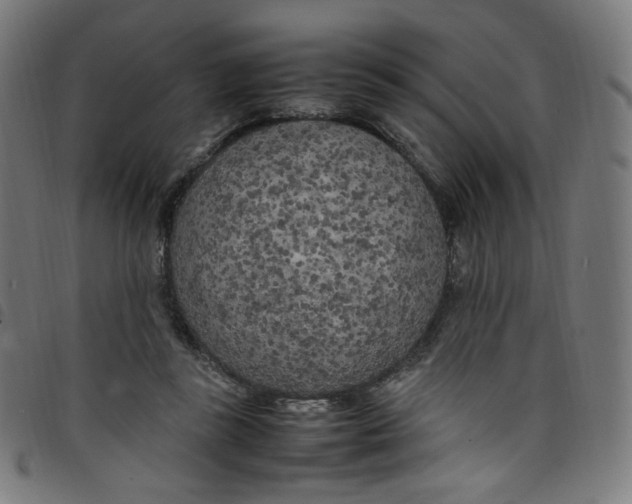 X0000098120355200804251457