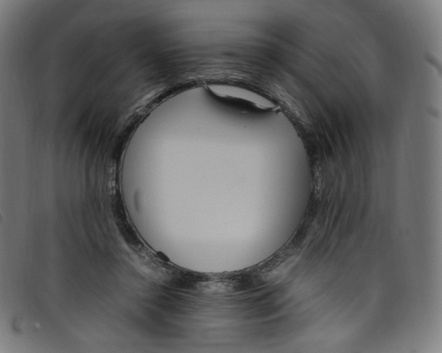 X0000098120356200804251457